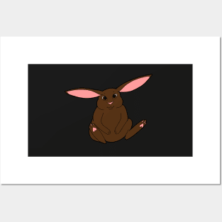 Brown Rabbit Posters and Art